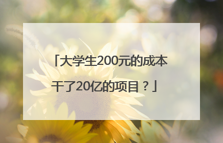 大学生200元的成本干了20亿的项目？
