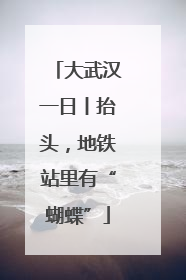 大武汉一日丨抬头，地铁站里有“蝴蝶”