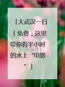 大武汉一日︱免费，这里带你看半小时的水上“电影”