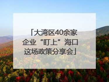 大湾区40余家企业“盯上”海口这场政策分享会