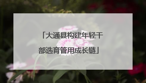 大通县构建年轻干部选育管用成长链
