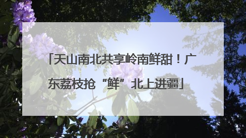 天山南北共享岭南鲜甜！广东荔枝抢“鲜”北上进疆