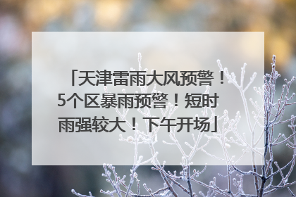 天津雷雨大风预警！5个区暴雨预警！短时雨强较大！下午开场