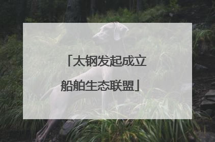太钢发起成立船舶生态联盟