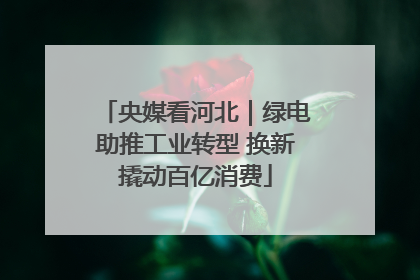 央媒看河北｜绿电助推工业转型 换新撬动百亿消费