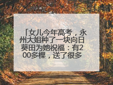 女儿今年高考，永州大姐种了一块向日葵田为她祝福：有200多棵，送了很多给其他家长