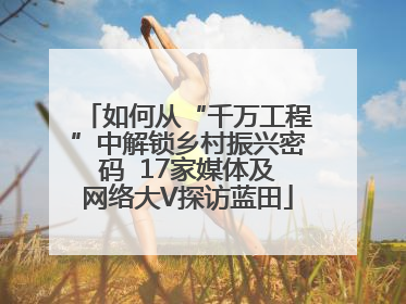 如何从“千万工程”中解锁乡村振兴密码  17家媒体及网络大V探访蓝田