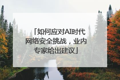 如何应对AI时代网络安全挑战，业内专家给出建议