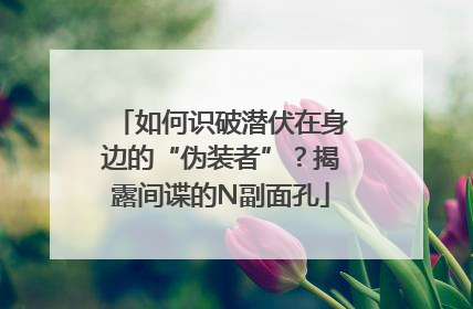 如何识破潜伏在身边的“伪装者”？揭露间谍的N副面孔