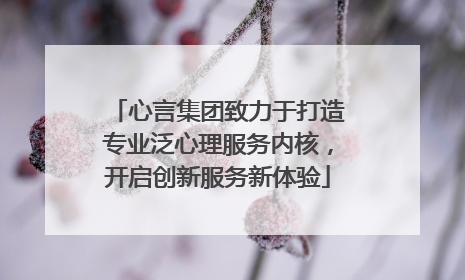心言集团致力于打造专业泛心理服务内核，开启创新服务新体验