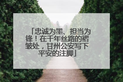 忠诚为墨、担当为锋！在千年丝路的褶皱处，甘州公安写下平安的注脚