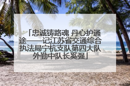 忠诚铸路魂 丹心护通途——记江苏省交通综合执法局宁杭支队第四大队外勤中队长奚强