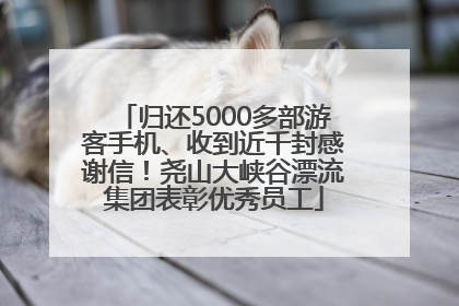 归还5000多部游客手机、收到近千封感谢信！尧山大峡谷漂流集团表彰优秀员工