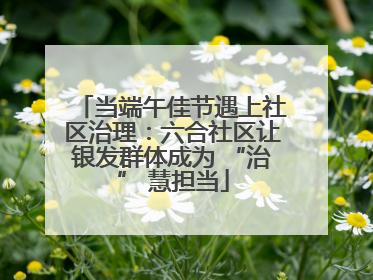 当端午佳节遇上社区治理：六合社区让银发群体成为 “治” 慧担当