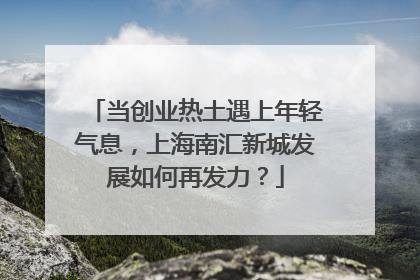 当创业热土遇上年轻气息，上海南汇新城发展如何再发力？