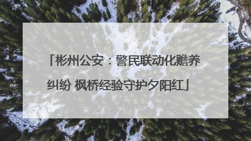 彬州公安：警民联动化赡养纠纷 枫桥经验守护夕阳红