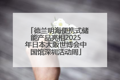 德兰明海便携式储能产品亮相2025年日本大阪世博会中国馆深圳活动周