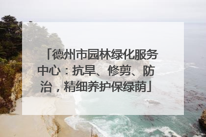 德州市园林绿化服务中心：抗旱、修剪、防治，精细养护保绿荫