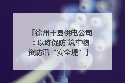 徐州丰县供电公司：以练促防 筑牢物资防汛“安全堤”
