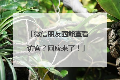 微信朋友圈能查看访客？回应来了！