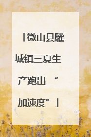 微山县驩城镇三夏生产跑出 “加速度”