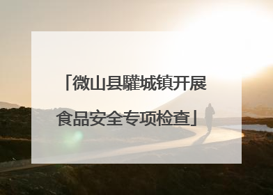 微山县驩城镇开展食品安全专项检查