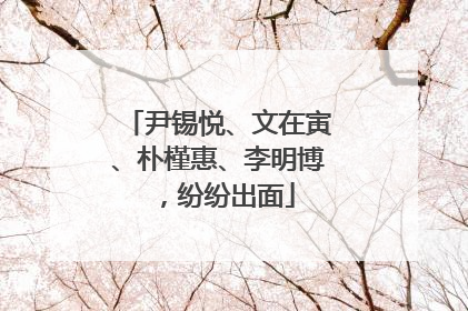 尹锡悦、文在寅、朴槿惠、李明博，纷纷出面
