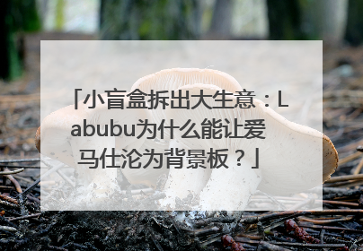 小盲盒拆出大生意：Labubu为什么能让爱马仕沦为背景板？