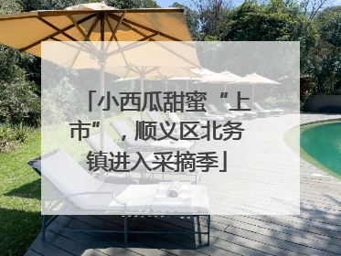 小西瓜甜蜜“上市”，顺义区北务镇进入采摘季