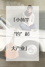 小鱼竿“钓”起大产业