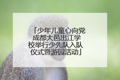 少年儿童心向党 成都大邑出江学校举行少先队入队仪式暨游园活动