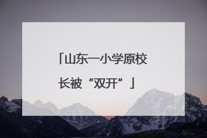 山东一小学原校长被“双开”