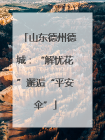 山东德州德城：“解忧花”邂逅“平安伞”