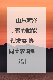 山东菏泽：聚势赋能谋发展 协同支农谱新篇