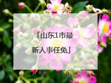 山东1市最新人事任免