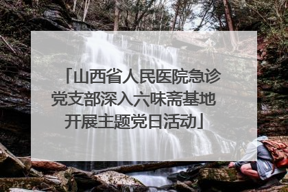 山西省人民医院急诊党支部深入六味斋基地开展主题党日活动