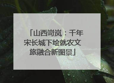 山西岢岚：千年宋长城下绘就农文旅融合新图景