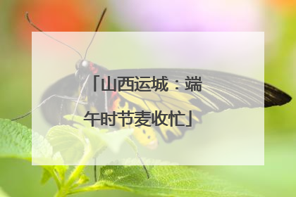 山西运城：端午时节麦收忙