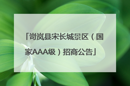 岢岚县宋长城景区（国家AAA级）招商公告