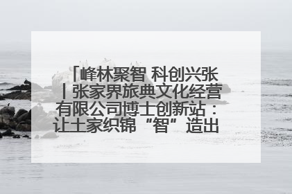 峰林聚智 科创兴张丨张家界旅典文化经营有限公司博士创新站：让土家织锦“智”造出非遗新传奇