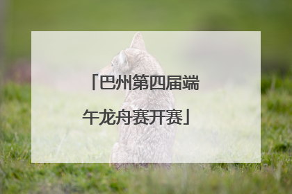 巴州第四届端午龙舟赛开赛