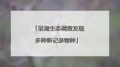 巢湖生态调查发现多种新记录物种