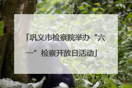 巩义市检察院举办“六一”检察开放日活动