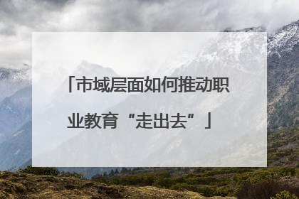 市域层面如何推动职业教育“走出去”