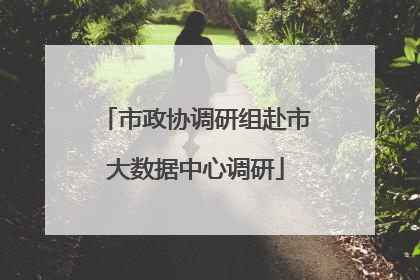 市政协调研组赴市大数据中心调研