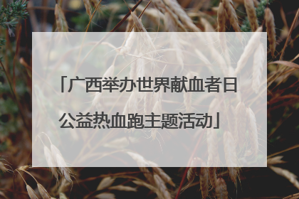 广西举办世界献血者日公益热血跑主题活动