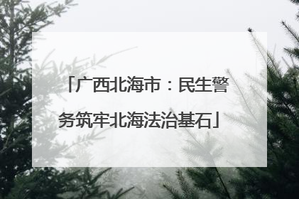 广西北海市：民生警务筑牢北海法治基石