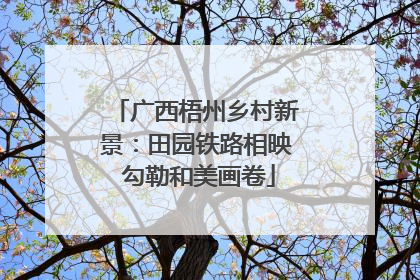 广西梧州乡村新景：田园铁路相映 勾勒和美画卷