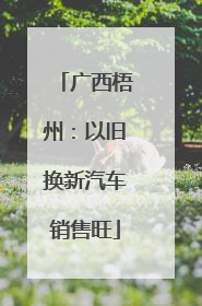 广西梧州：以旧换新汽车销售旺