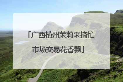 广西横州茉莉采摘忙 市场交易花香飘
